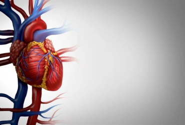 Chronic Anger's Impact on Cardiovascular Health
